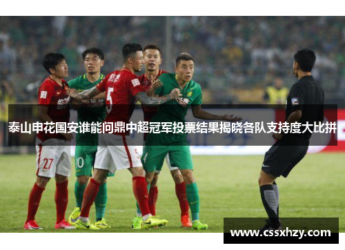 泰山申花国安谁能问鼎中超冠军投票结果揭晓各队支持度大比拼