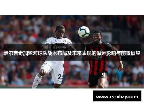 维尔吉奇加盟对球队战术布局及未来表现的深远影响与前景展望