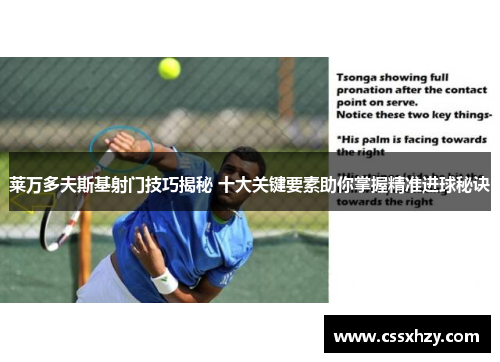 莱万多夫斯基射门技巧揭秘 十大关键要素助你掌握精准进球秘诀